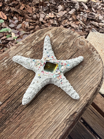 Concrete Lifelike Starfish