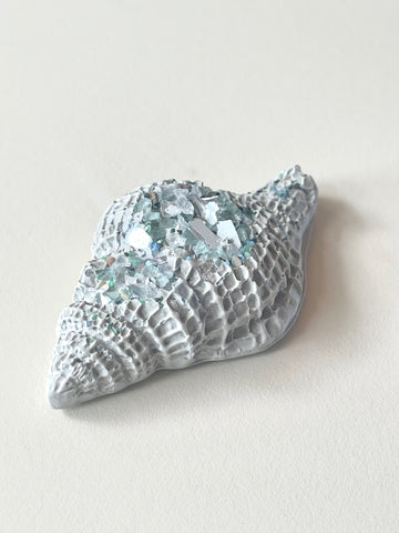 Cement Sea Snail Shell