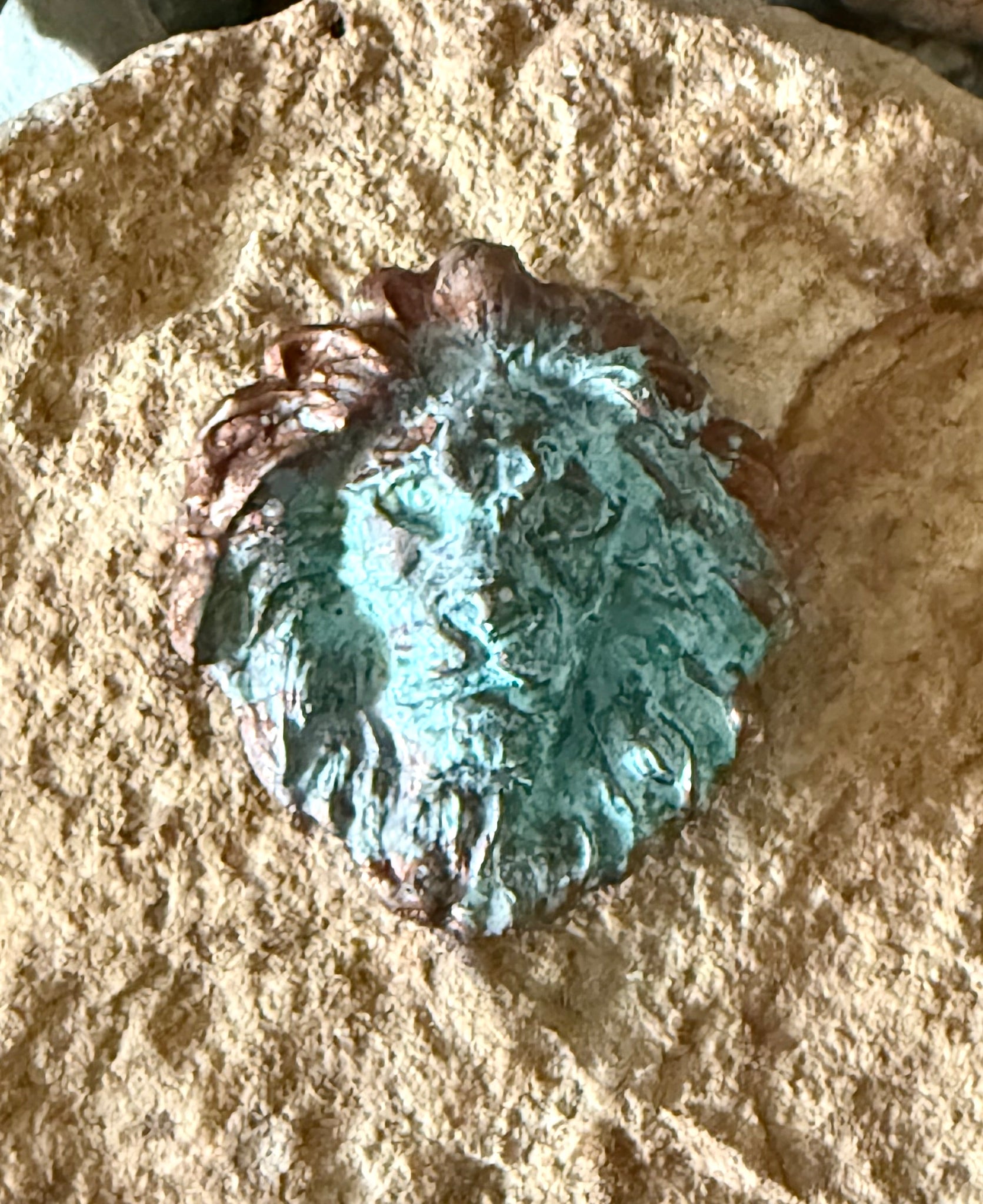 Cement Lion Head Magnet