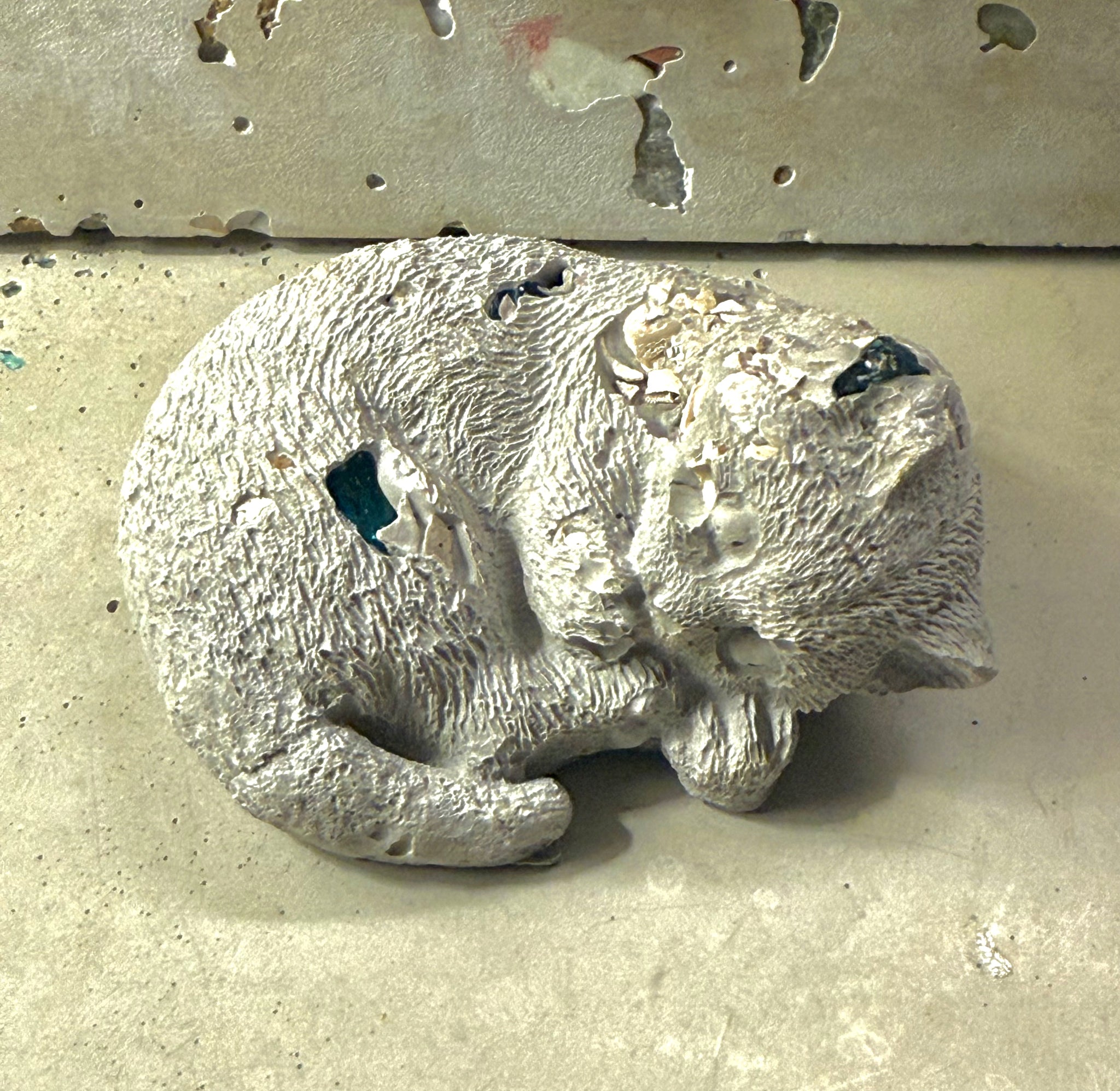 Resting Cement Cat