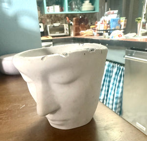 Cement Face Planter
