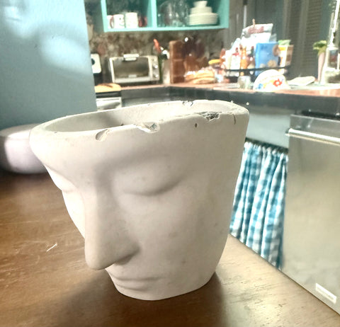 Cement Face Planter