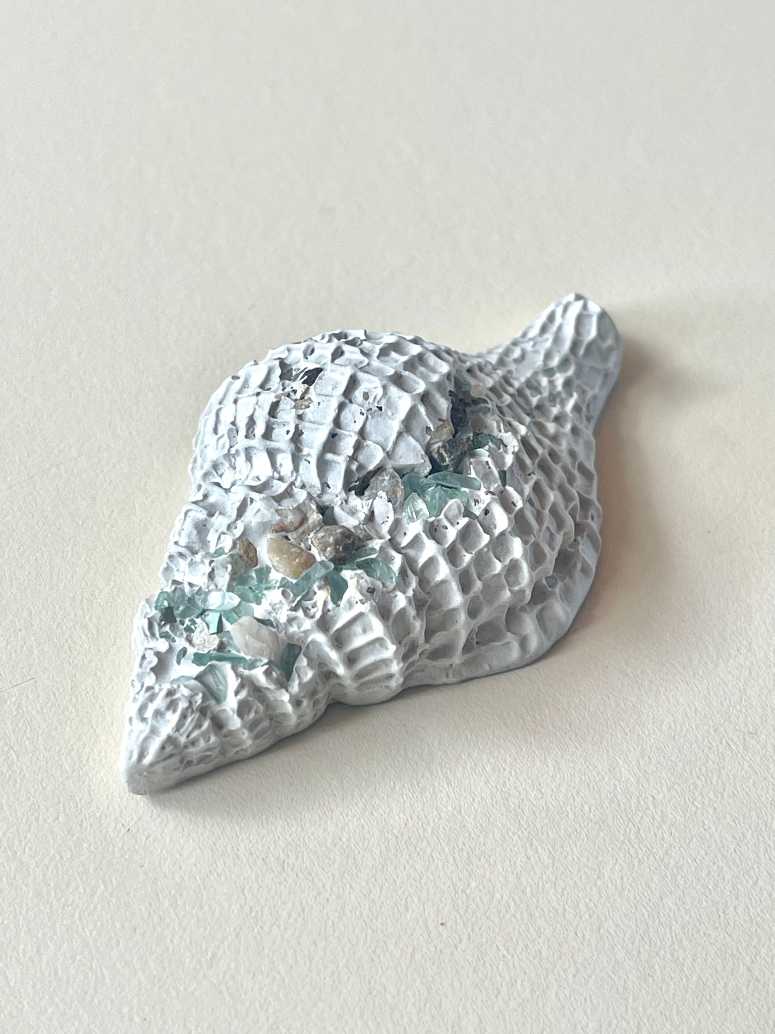 Cement Sea Snail Shell