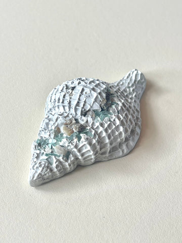 Cement Sea Snail Shell