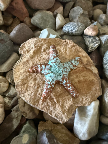 Copper Patina Cement Starfish