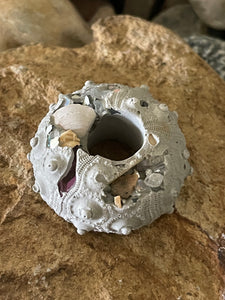 Cement Sea Urchin Shell