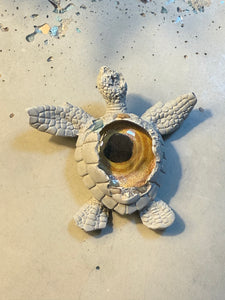 Cement 3D Sea Turtle