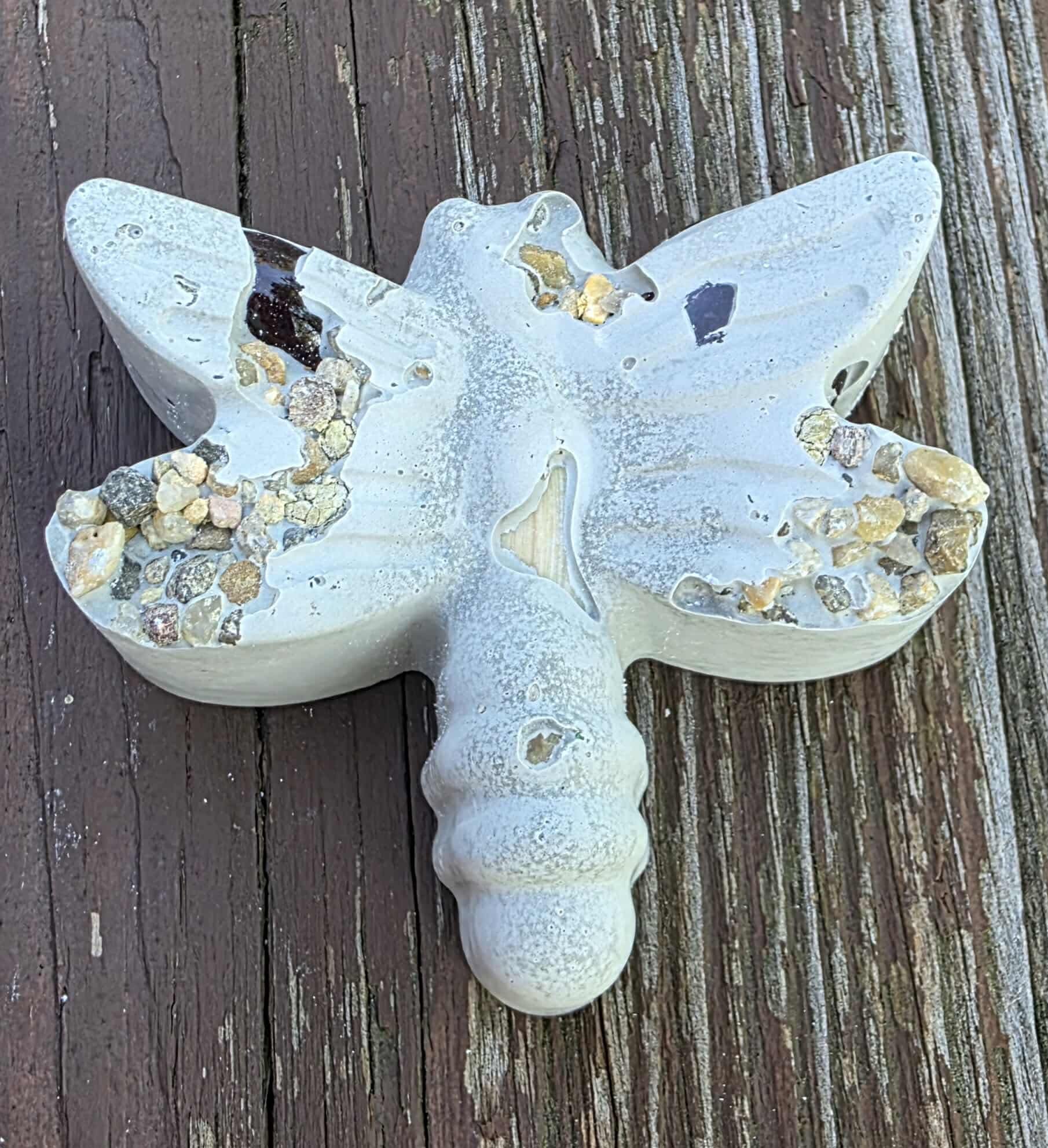 Concrete Chunky Dragonfly