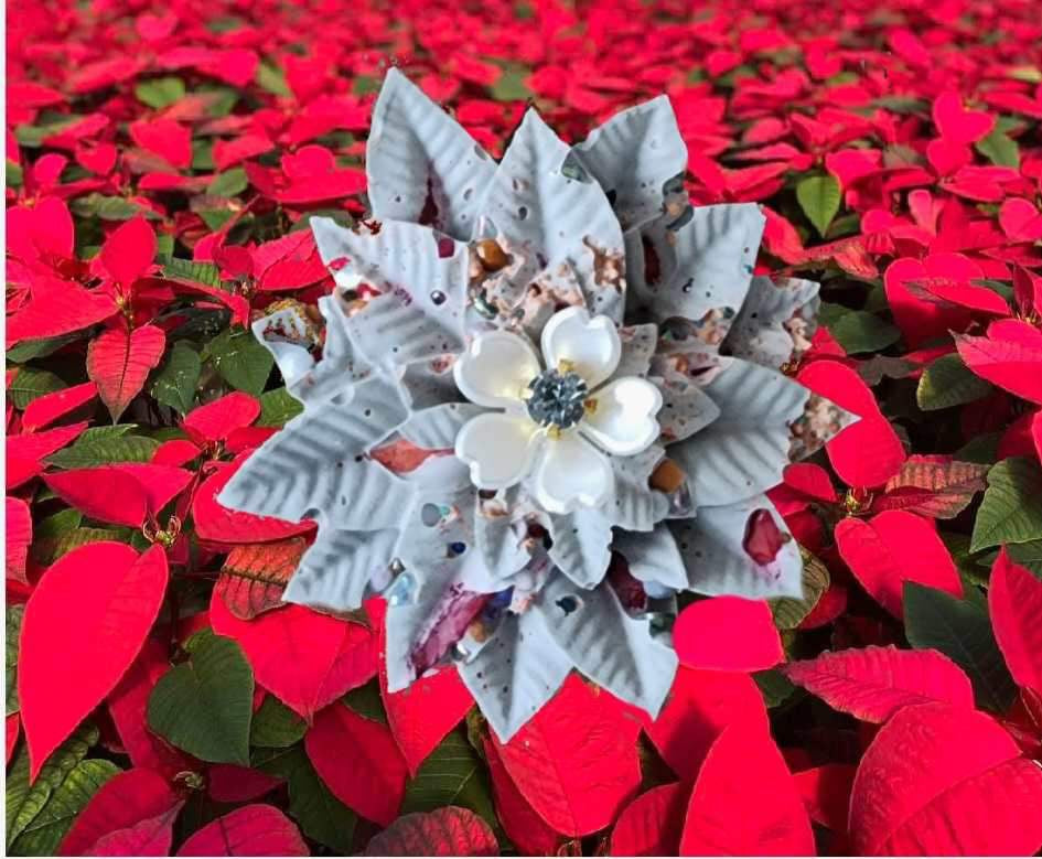 Cement Poinsettia Stone