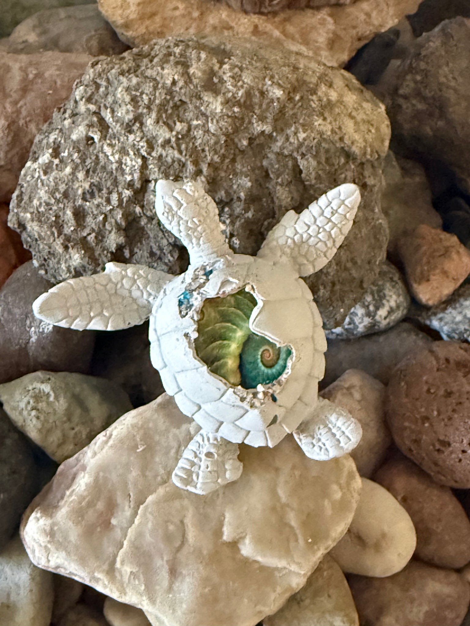 Cement 3D Sea Turtle