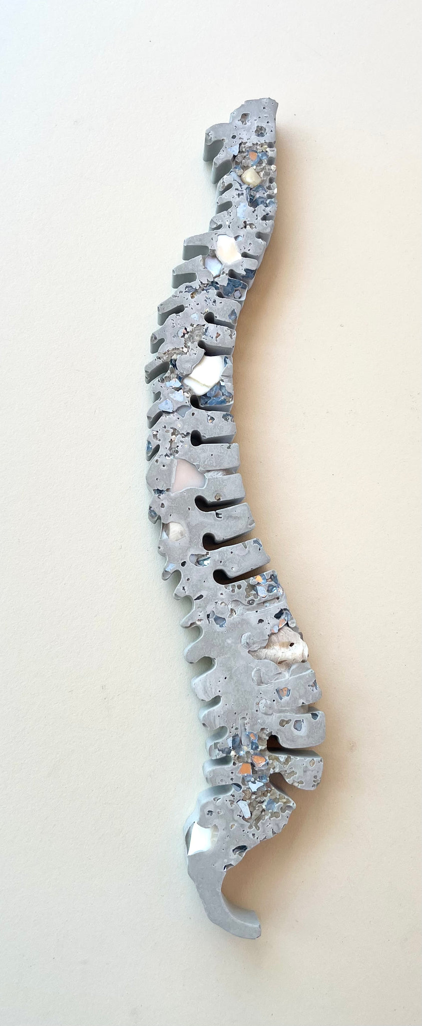 Concrete Spine 9” Magnet