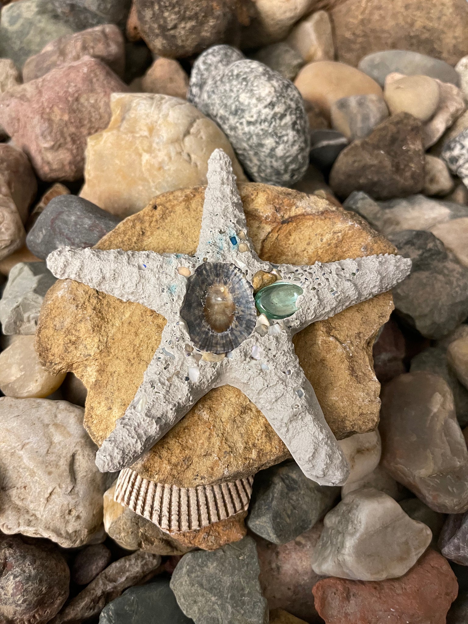 Concrete Lifelike Starfish