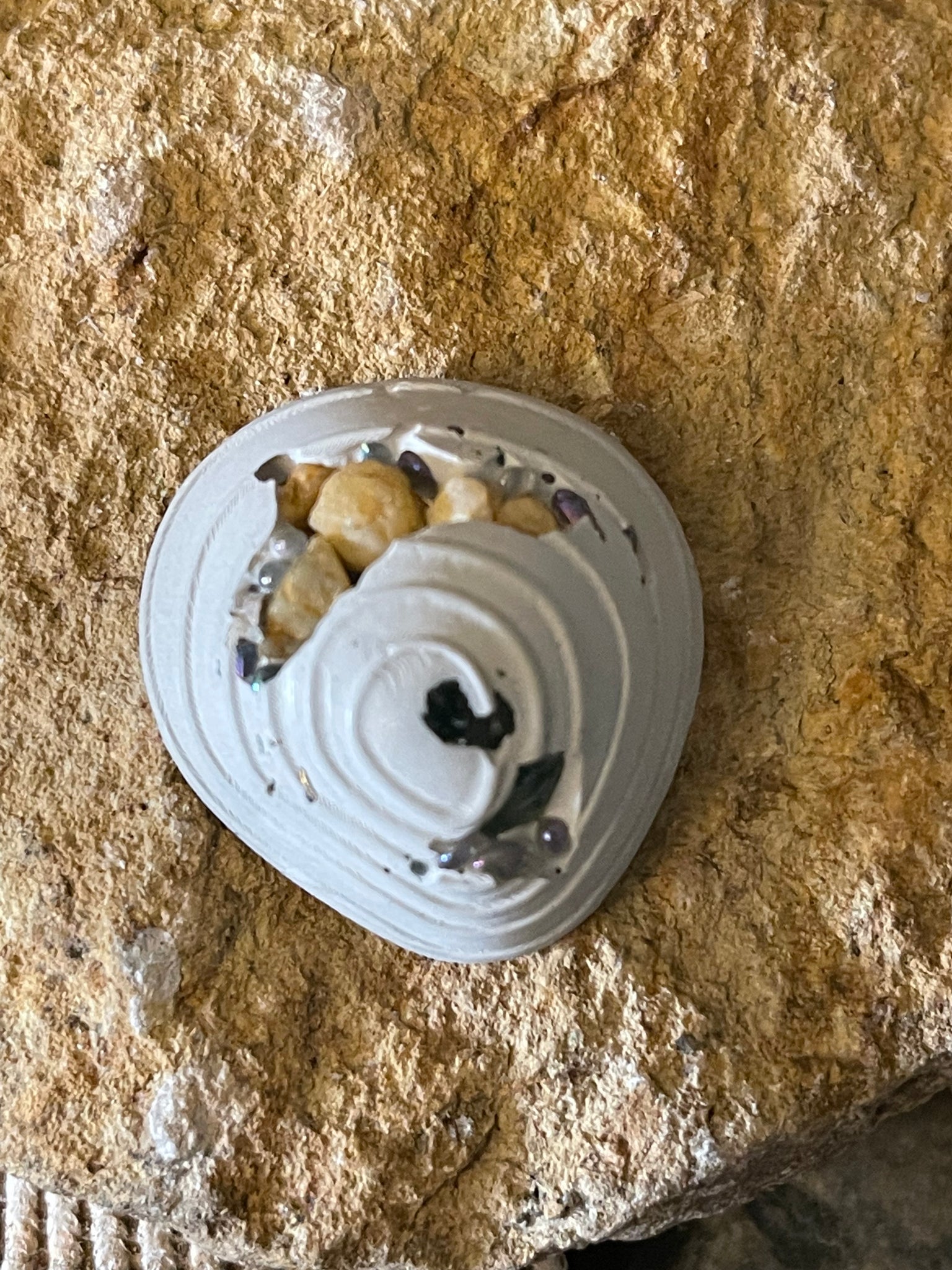 Seashell 8 Bit Concrete Mini Orb Seashell – From Bits & Pieces
