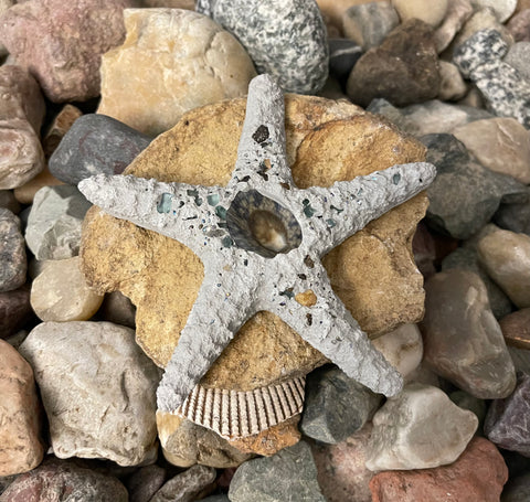 Concrete Lifelike Starfish